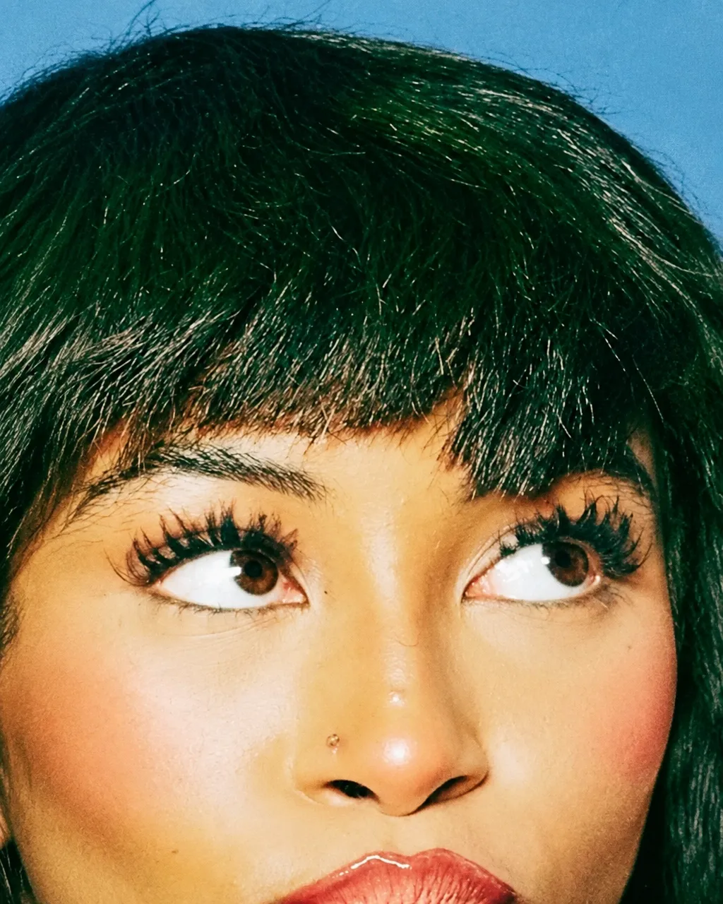 Extreme beauty close-up showing an eye and lashes